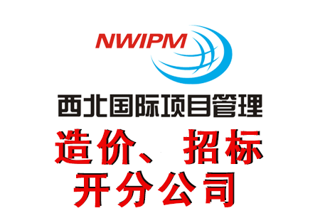 如何完善的理解招標(biāo)文件、檢查投標(biāo)文件？